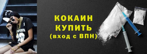 тгк Ельня