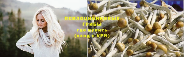 тгк Ельня
