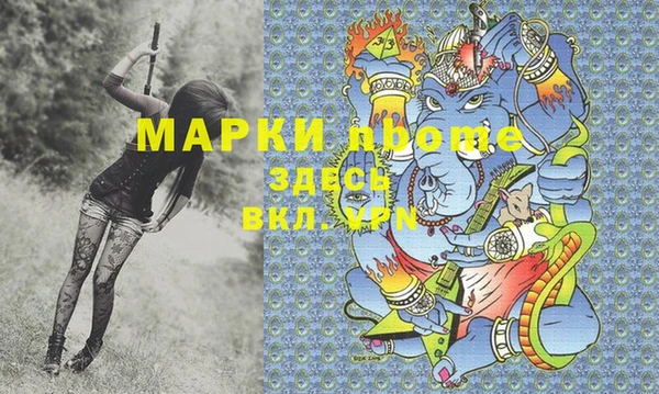 тгк Ельня
