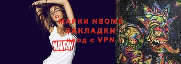 тгк Ельня