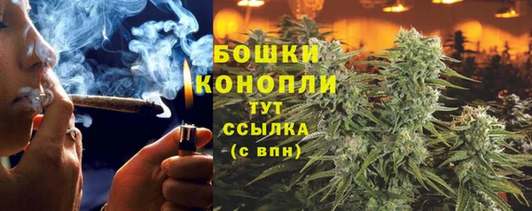 тгк Ельня