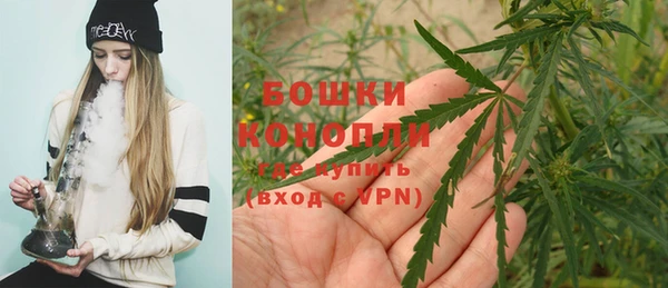 тгк Ельня