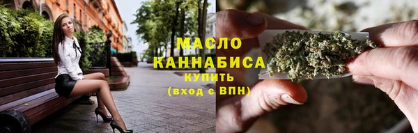 тгк Ельня