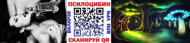 Купить закладки  Камышлов  Псилоцибиновые грибы Psilocybine cubensis 